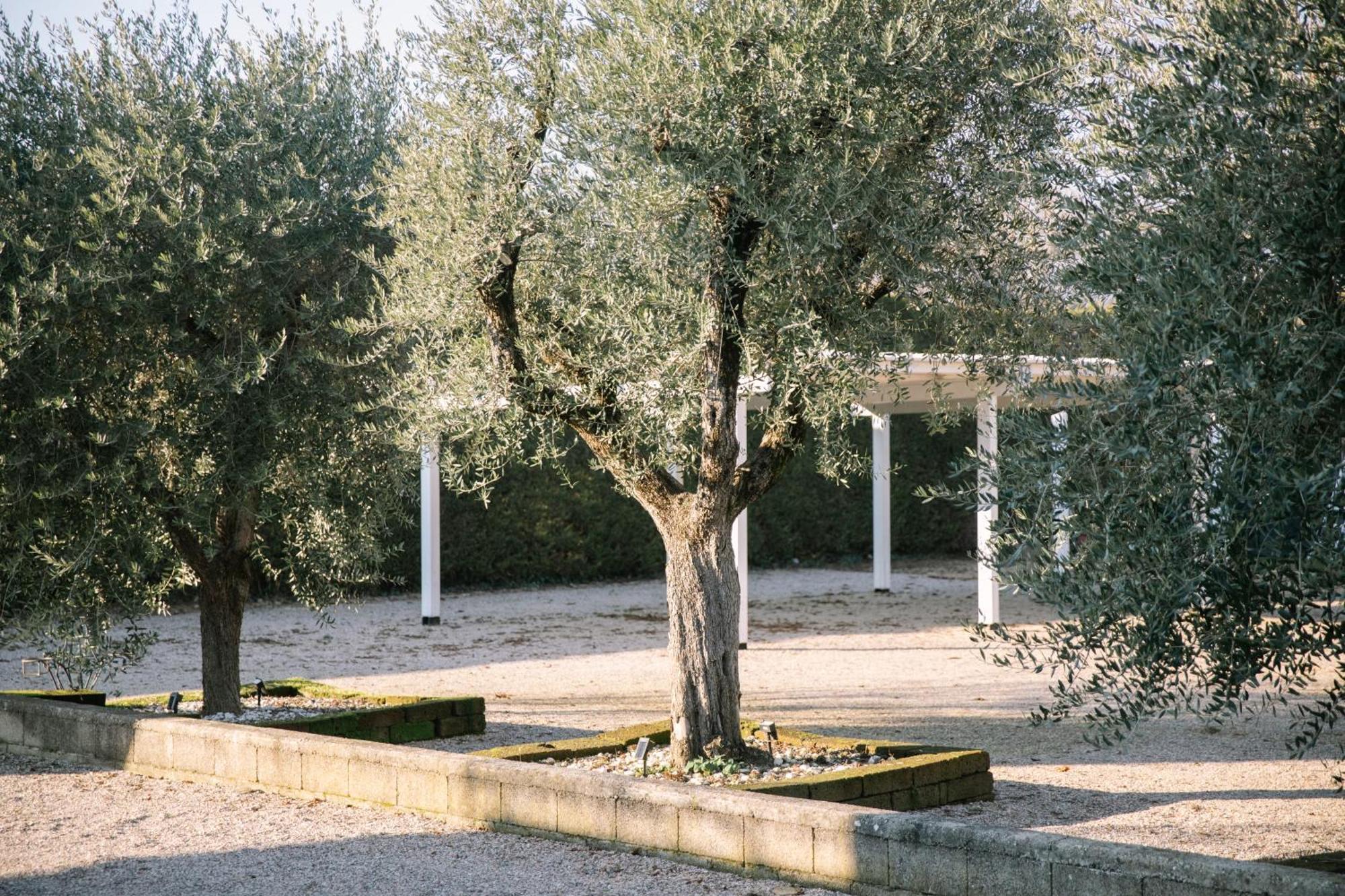 Appartamento Red Carpet Castelnuovo del Garda Esterno foto